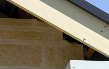soffit repair Wringsdown