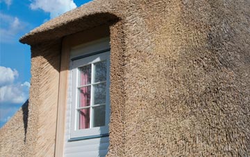 Wringsdown thatch roof disadvantages